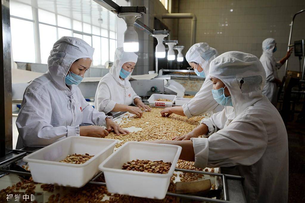 臨沂食品企業(yè) 深加工花生，提升農(nóng)產(chǎn)品附加值，打造國家保健食品生產(chǎn)新標(biāo)桿