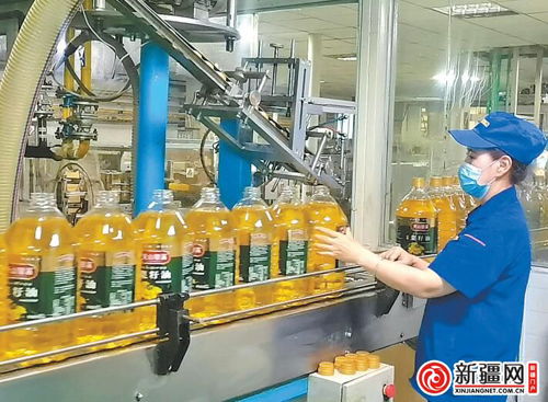 烏魯木齊食品企業(yè)抓生產(chǎn)保供應(yīng) 筑牢民生保障防線