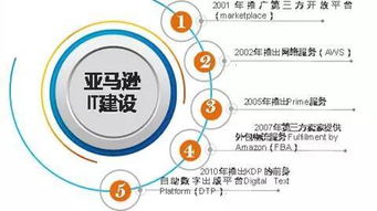 亞馬遜 遠見與執行的戰略典范——一部以網絡技術服務為核心的二十年變遷史